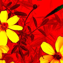 离线也能用的网页攻击器